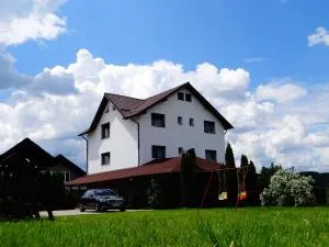 Pensiunea Lacul Albesti - Borobăneşti