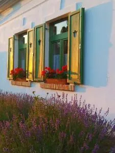 Égkőris Vendégház - باكونيبل