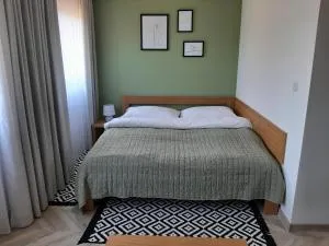 Gray House Apartmán - Ondřejovice