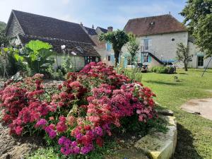 B&B / Chambres d'hotes Le Moulin Bleu : photos des chambres