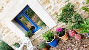 Maisons de vacances Gite de Rosaraie : photos des chambres