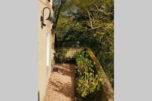 Appartements AMALOUYSE Studio de charme au coeur des chateaux de Loire : photos des chambres