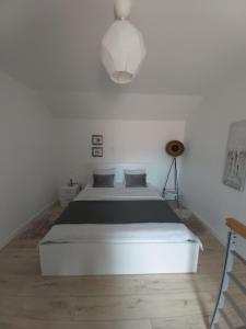Apartments No 55