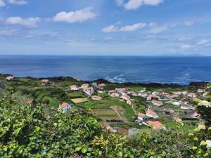 Houses of Eira Velha