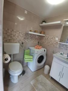 Apartman Ane - Bribir