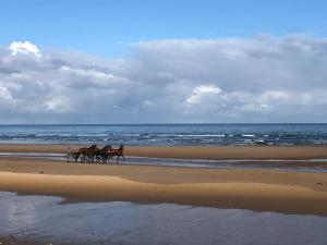 Maisons de vacances Maison proche Omaha Beach vue imprenable sur haras : photos des chambres