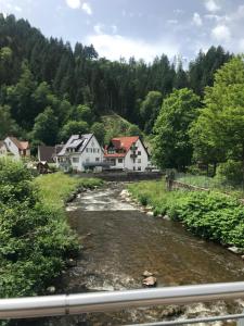 S-VILLA Apartments im Schwarzwald