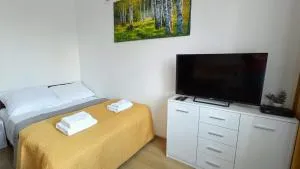 Apartament Orzysz "Żabi Staw" - Góra