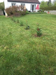 Maisons de vacances JARDIN DE CAMPAGNE : photos des chambres