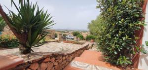 San Teodoro Sea View img17