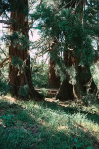 Le Grand Petit Prince - Domaine de Charme - Jacuzzis privatifs