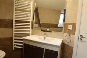 Belgrade Center Apartment Nusiceva