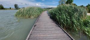 Appartements Superbe studio, vue lac, Spirou, rando, velo : photos des chambres