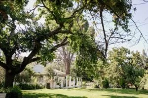 Montpellier de Tulbagh - Op-die-Berg