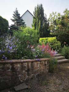 Maisons de vacances Chene Rouge : photos des chambres