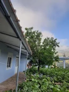 VG Holiday's Rooms - Qeparoi i Sipërm