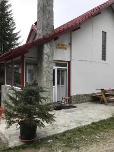 Vila Carla Elena Ranca