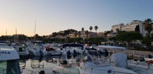 Appartements Studio avec terrasse 2 personnes : photos des chambres