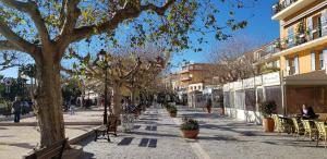 Appartements Studio avec terrasse 2 personnes : photos des chambres