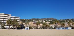 Appartements Studio avec terrasse 2 personnes : photos des chambres