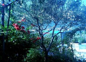 A2 - Modern apartment with garden 80m from beach