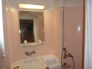 Hotels Lac'Hotel France : photos des chambres