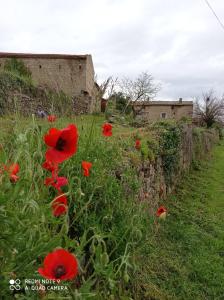 Maisons d'hotes la ferme de fenivou : photos des chambres