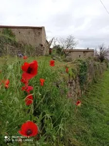 la ferme de fenivou - 波格尔