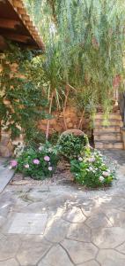 Villino del Pepe Rosa