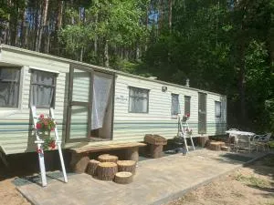 AngloJelonek - Penglitten