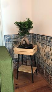 Apartments Center Castelo de São Jorge