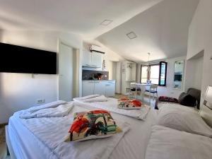 Old Piran Bora Seaview