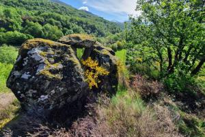 Maisons de vacances Maison au coeur des Pyrenees : photos des chambres