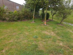 empty spot on grass Camping The Tulip no beds