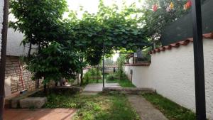 Apartmani Anita