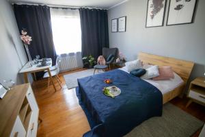 Apartament Cicha