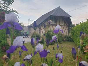 Maisons de vacances Gite YZEN pres de Honfleur : photos des chambres