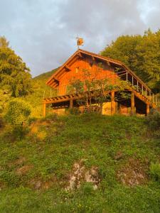 Chalets Le petit chalet des Greys : photos des chambres