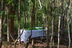 Aldea Coba An Escape Boutique Experience