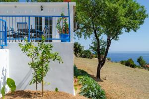 Vacation Home Deja Blue