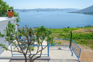 Vacation Home Deja Blue