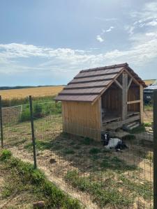 Maisons de vacances Le Maquis : photos des chambres