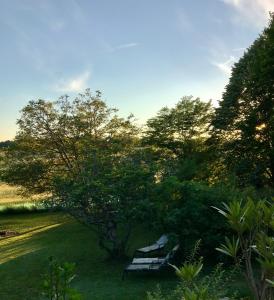 Appartements Room in Studio - Studio surrounded by greenery : photos des chambres