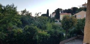 Appartements Studio avec terrasse 2 personnes : photos des chambres