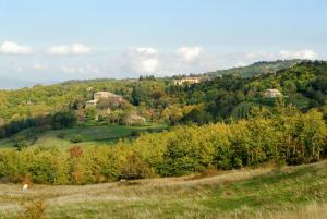 A stay surrounded by greenery - Agriturismo La Piaggia -