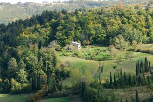 A stay surrounded by greenery - Agriturismo La Piaggia -