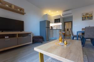 Apartments Vicin 