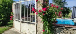 Maisons de vacances UN AIR DE VACANCES : photos des chambres