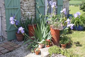 Bouye Gite Accommodation