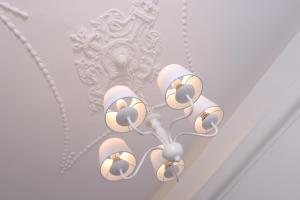 OPL Executive Apartment